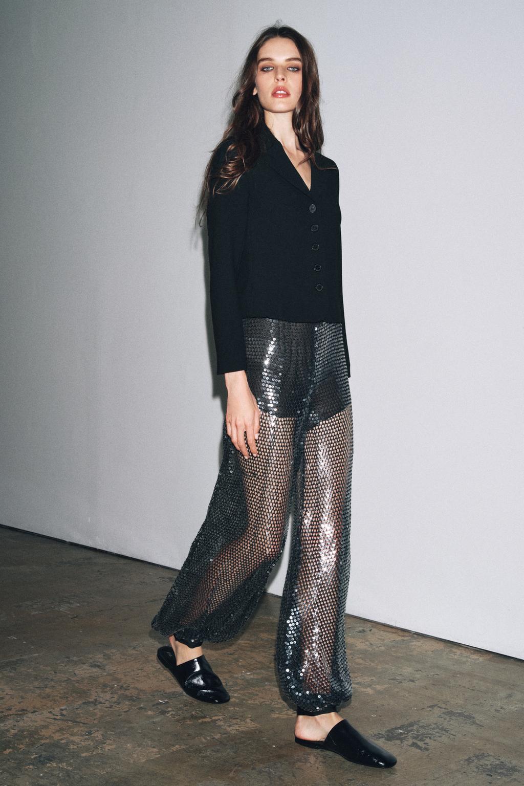Sheer Sequin Embellished Trousers